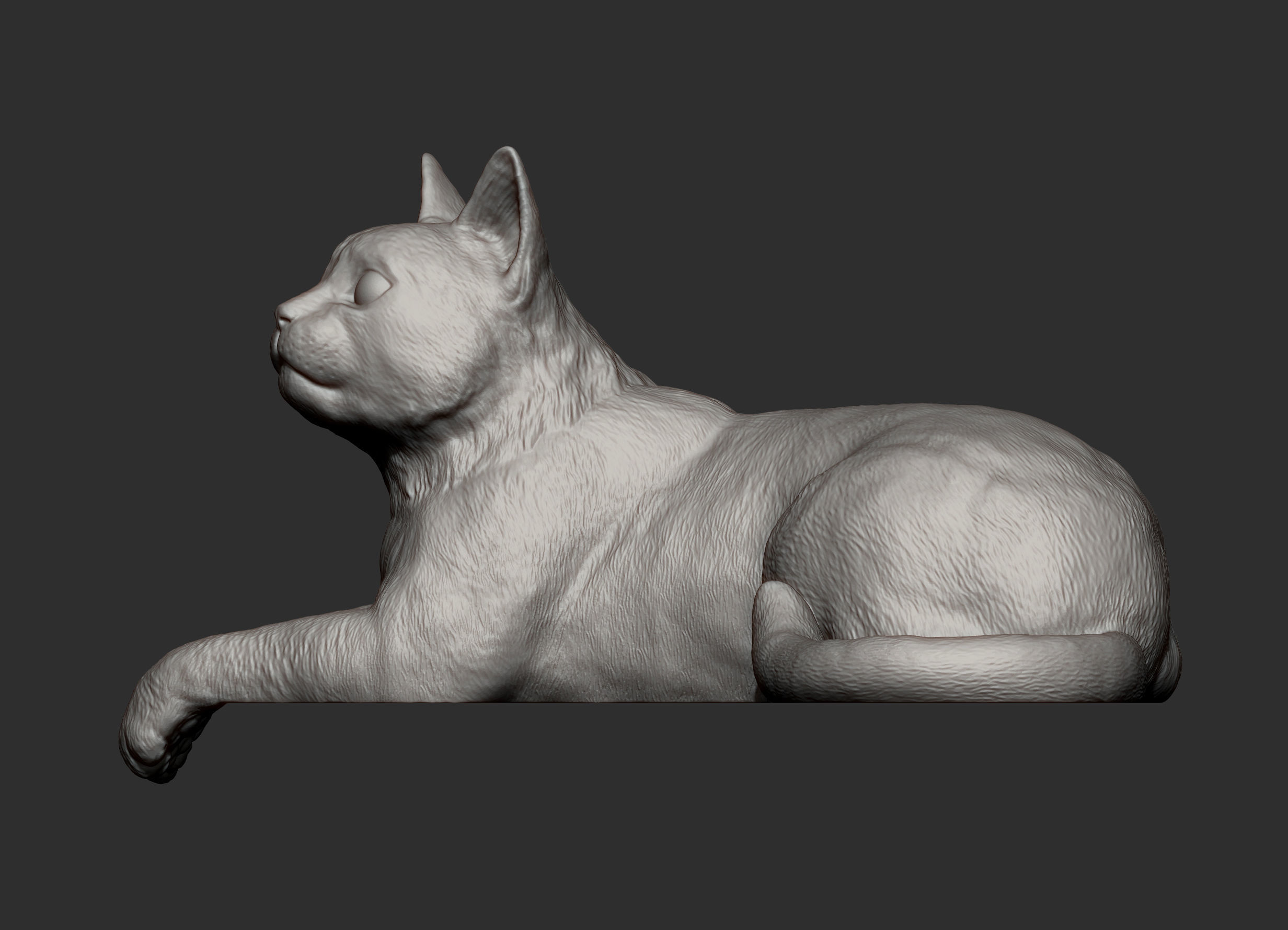 The cat is lying on the edge 3D print model_7