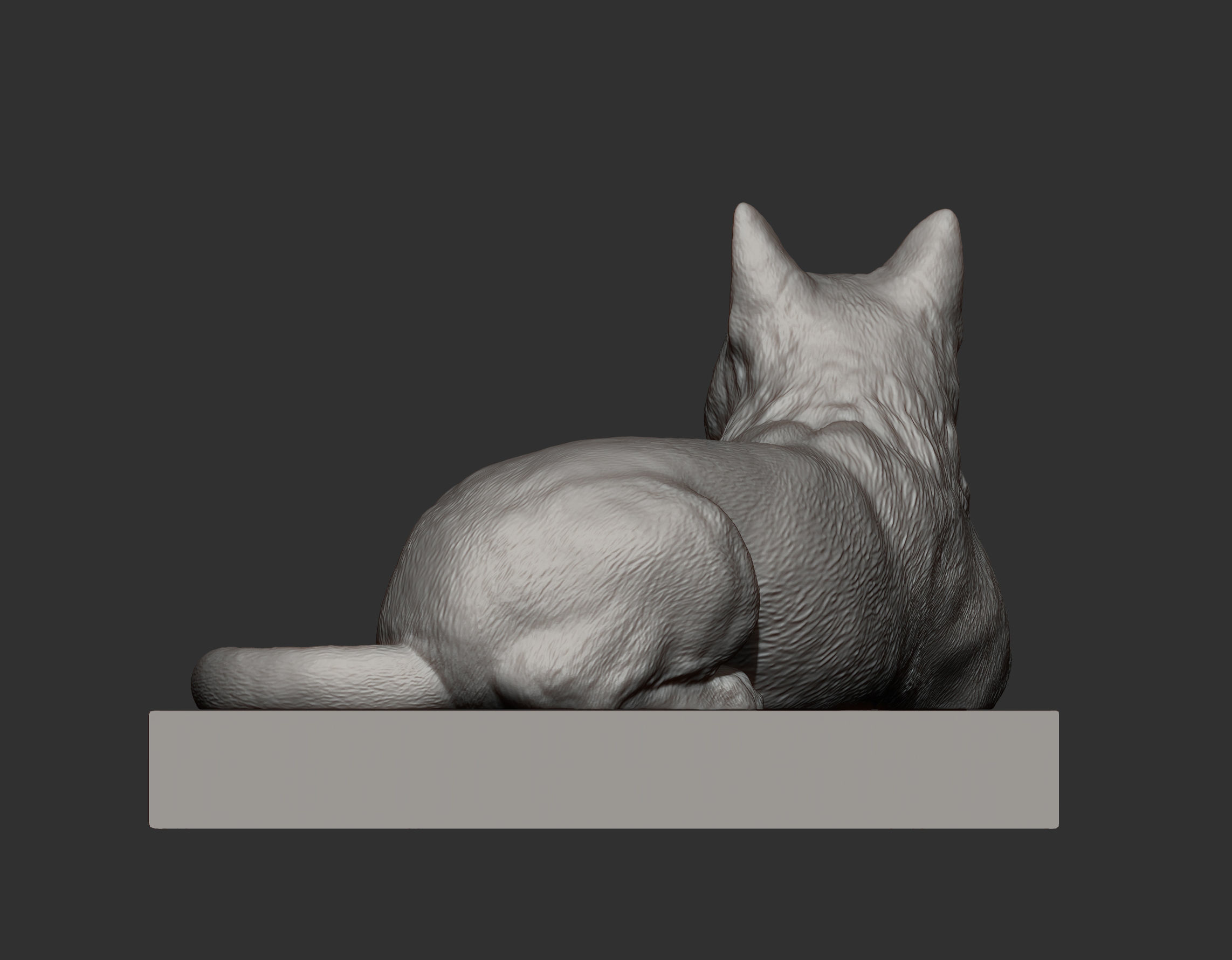 The cat is lying on the edge 3D print model_14
