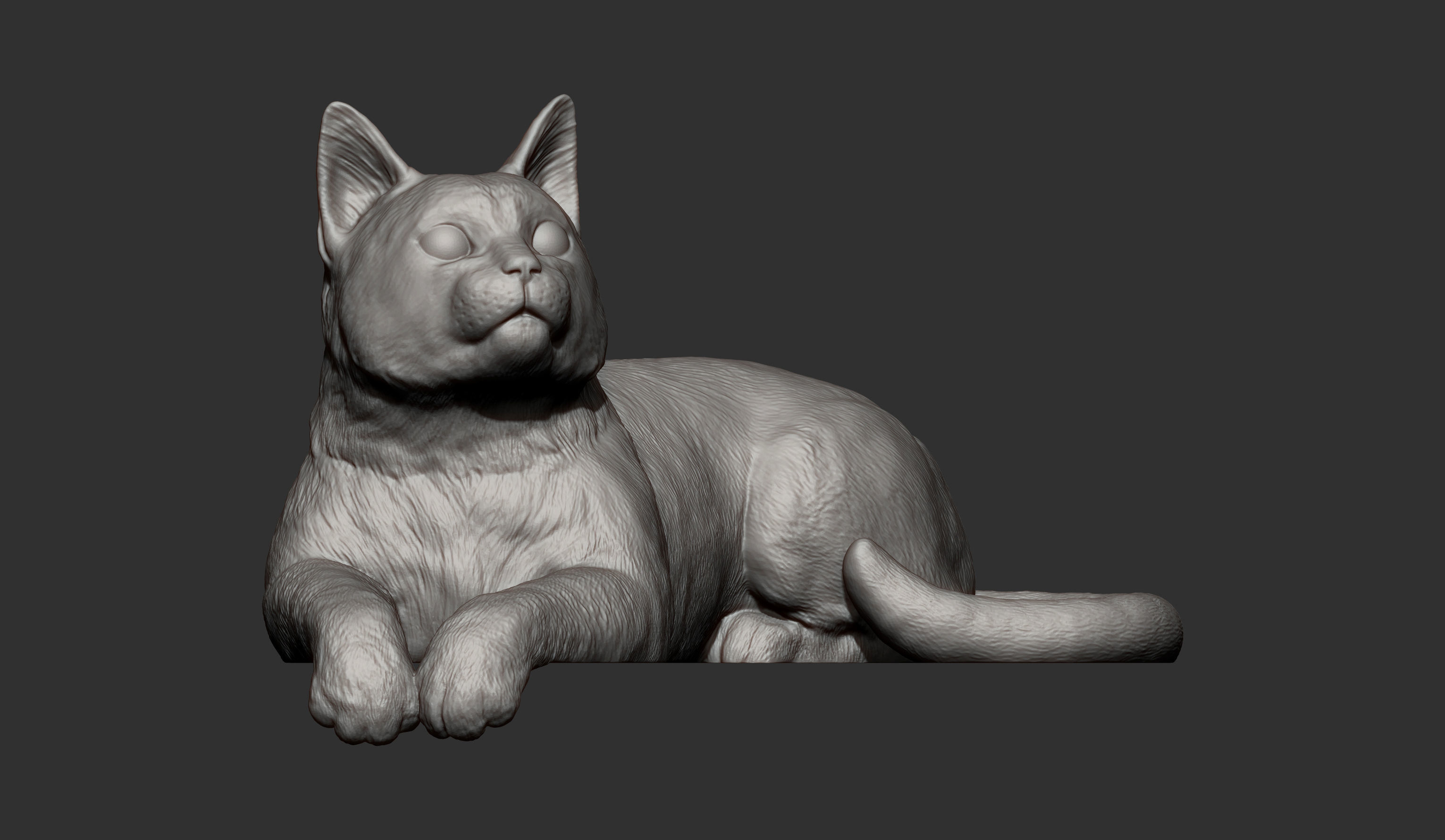 The cat is lying on the edge 3D print model_10
