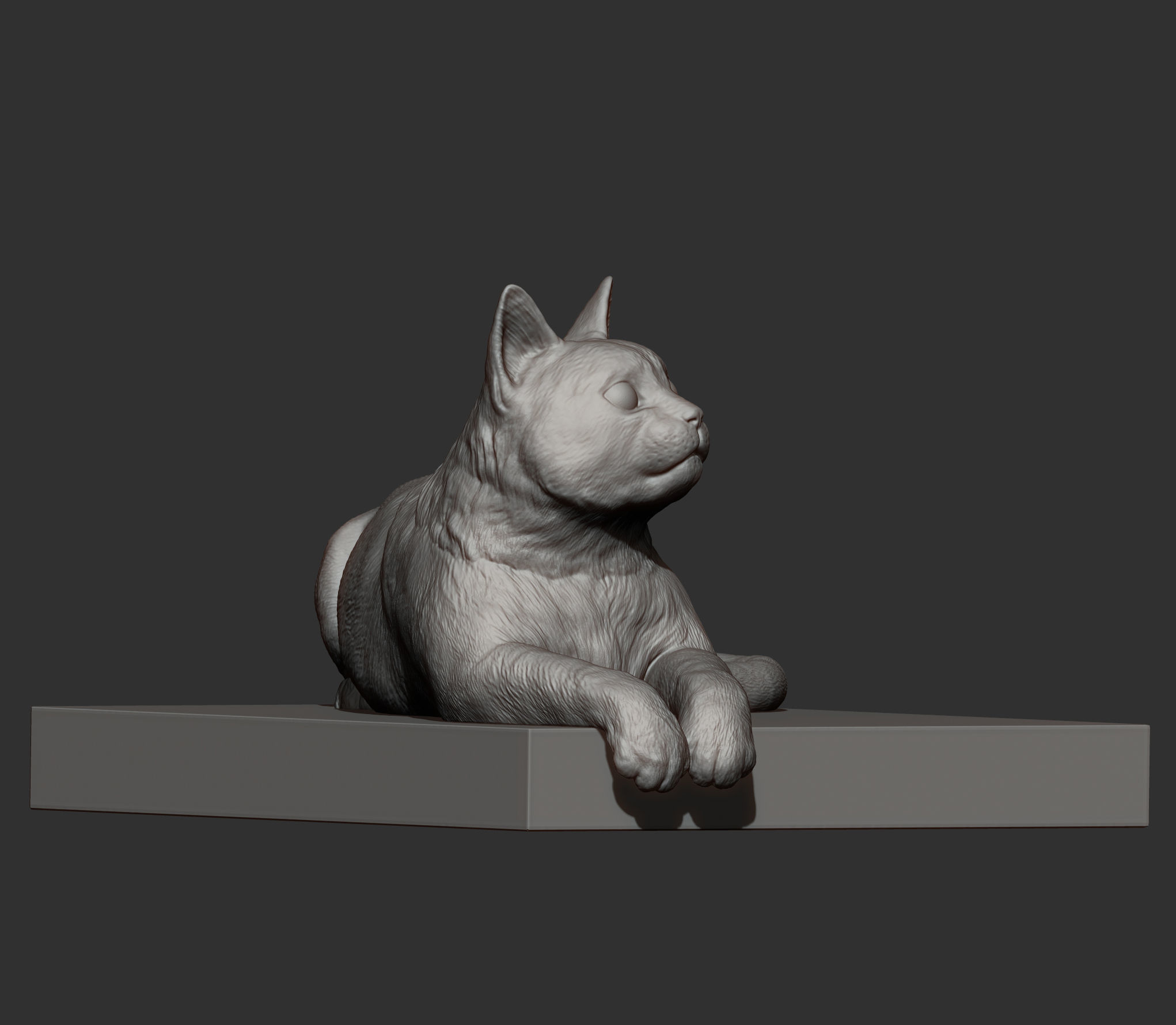 The cat is lying on the edge 3D print model_13