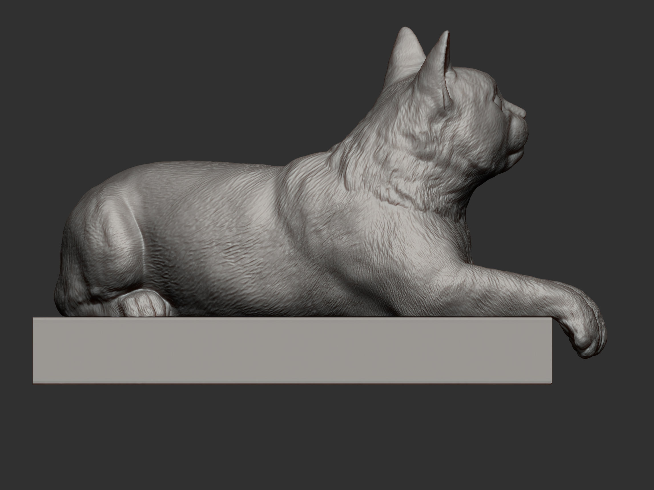 The cat is lying on the edge 3D print model_12