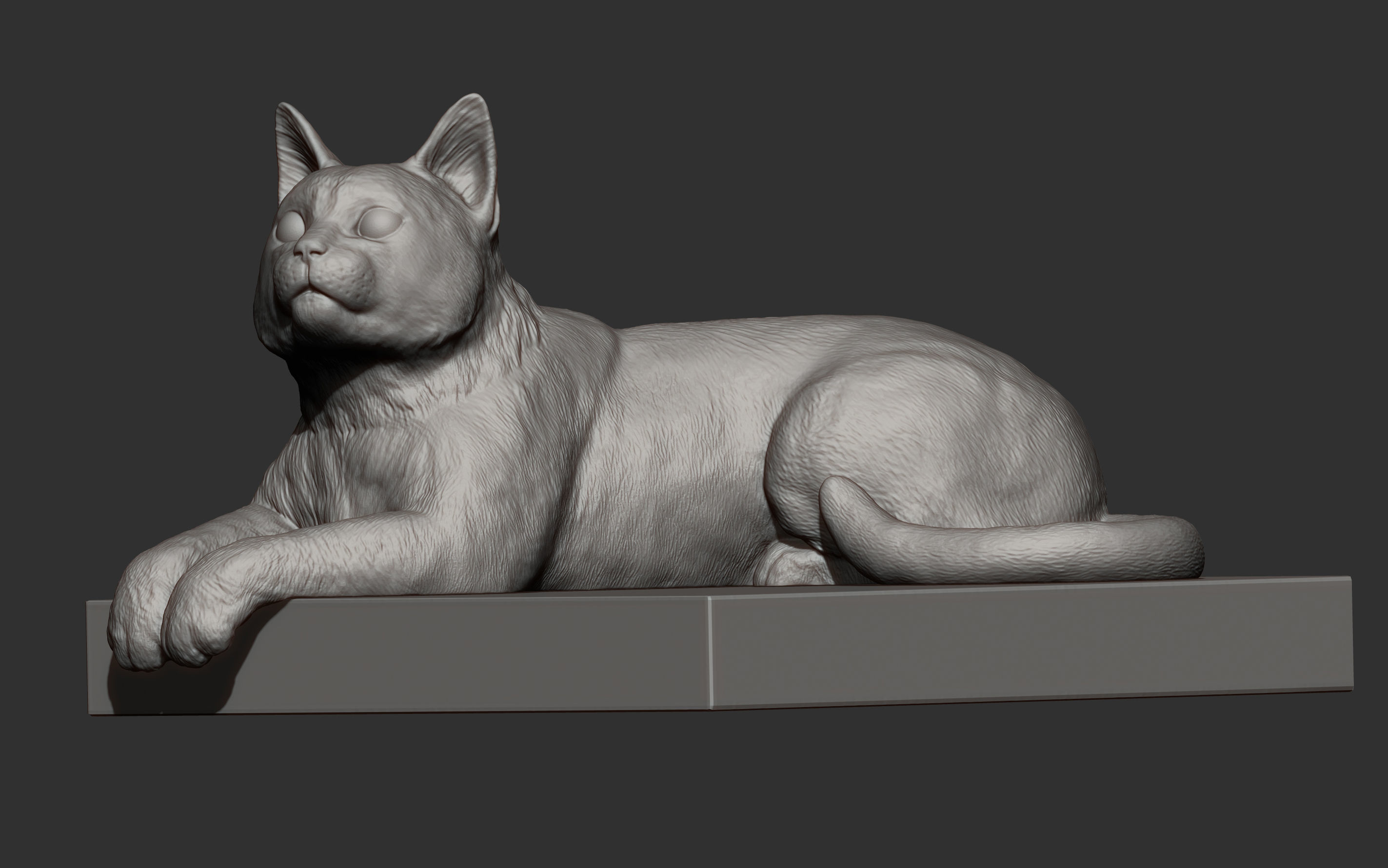 The cat is lying on the edge 3D print model_6