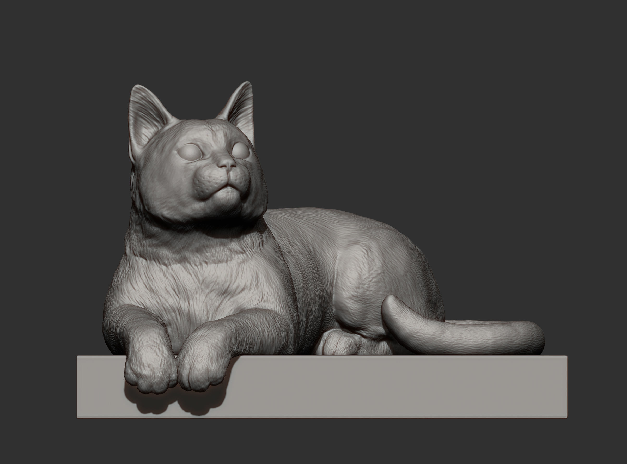 The cat is lying on the edge 3D print model_8