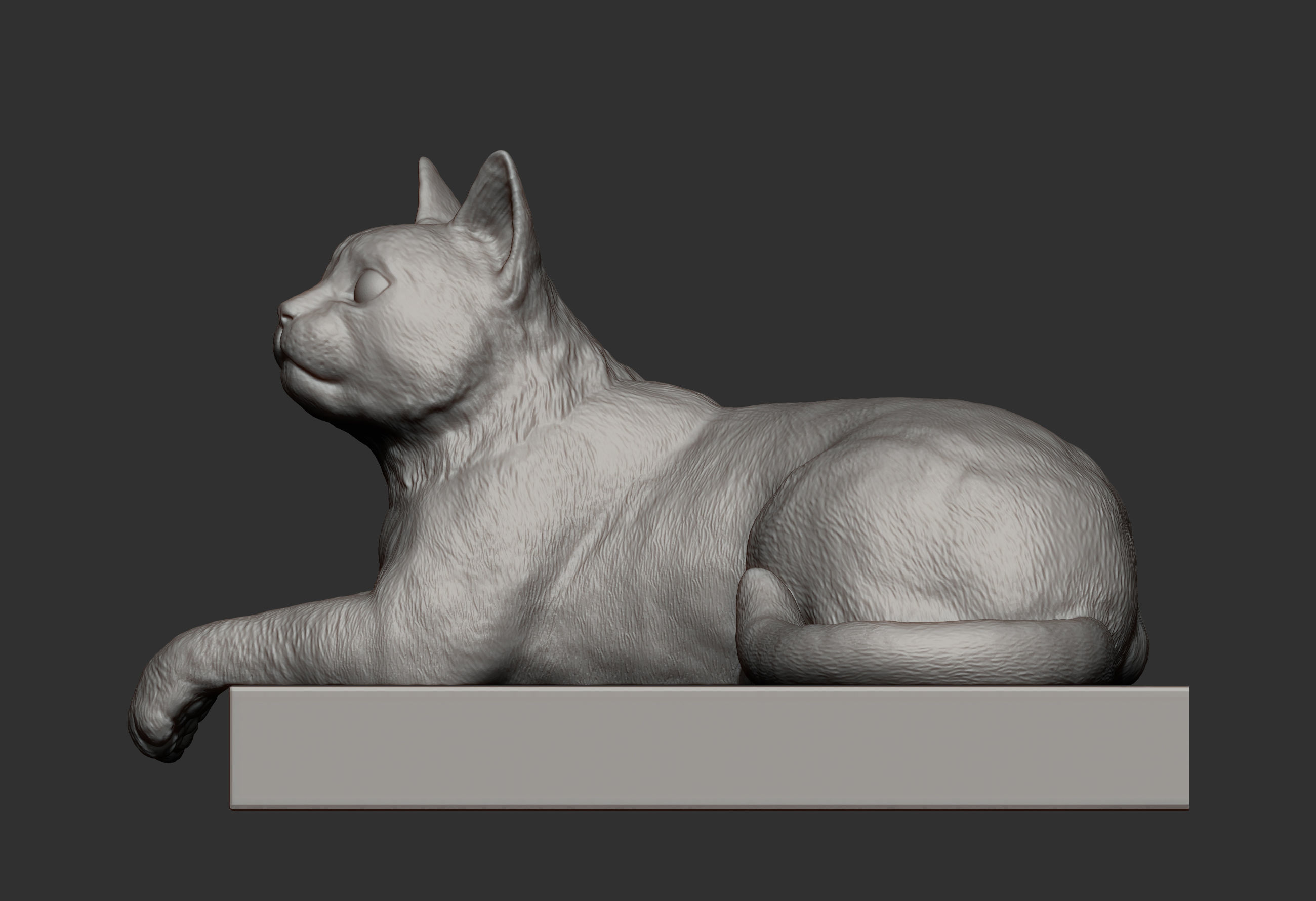 The cat is lying on the edge 3D print model_9