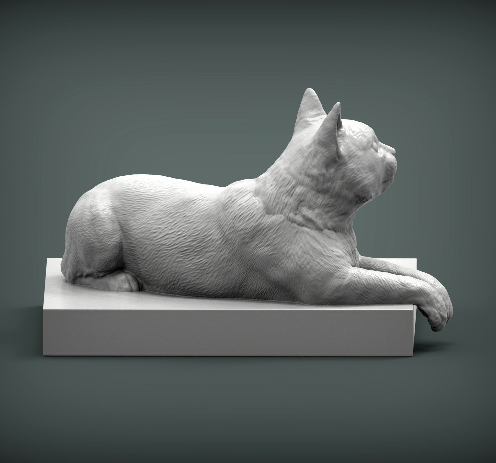 The cat is lying on the edge 3D print model_4