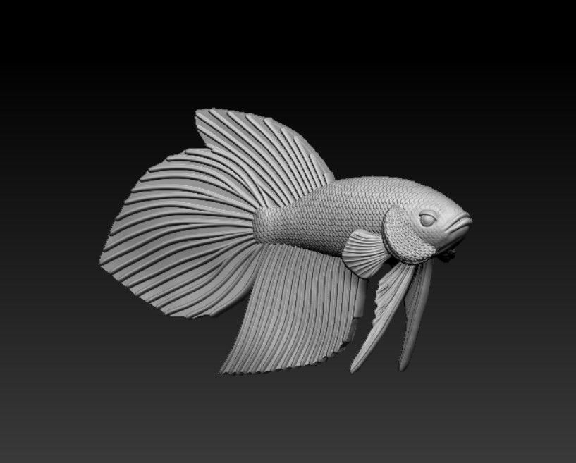BETTA FISH VEILTAIL - READY FOR 3D PRINTING 3D print model_5
