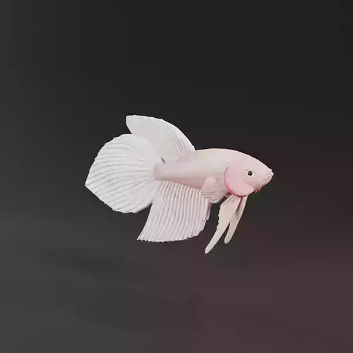 BETTA FISH VEILTAIL - READY FOR 3D PRINTING 3D print model