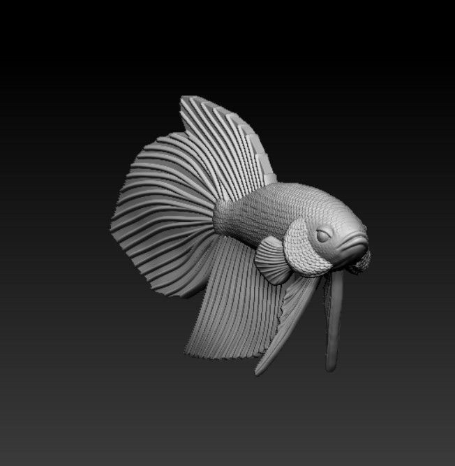BETTA FISH VEILTAIL - READY FOR 3D PRINTING 3D print model_4