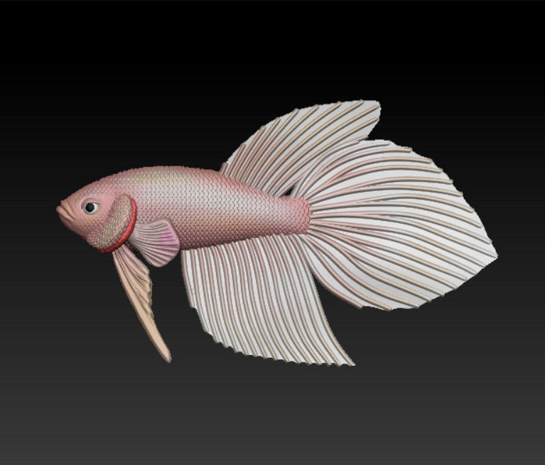 BETTA FISH VEILTAIL - READY FOR 3D PRINTING 3D print model_3