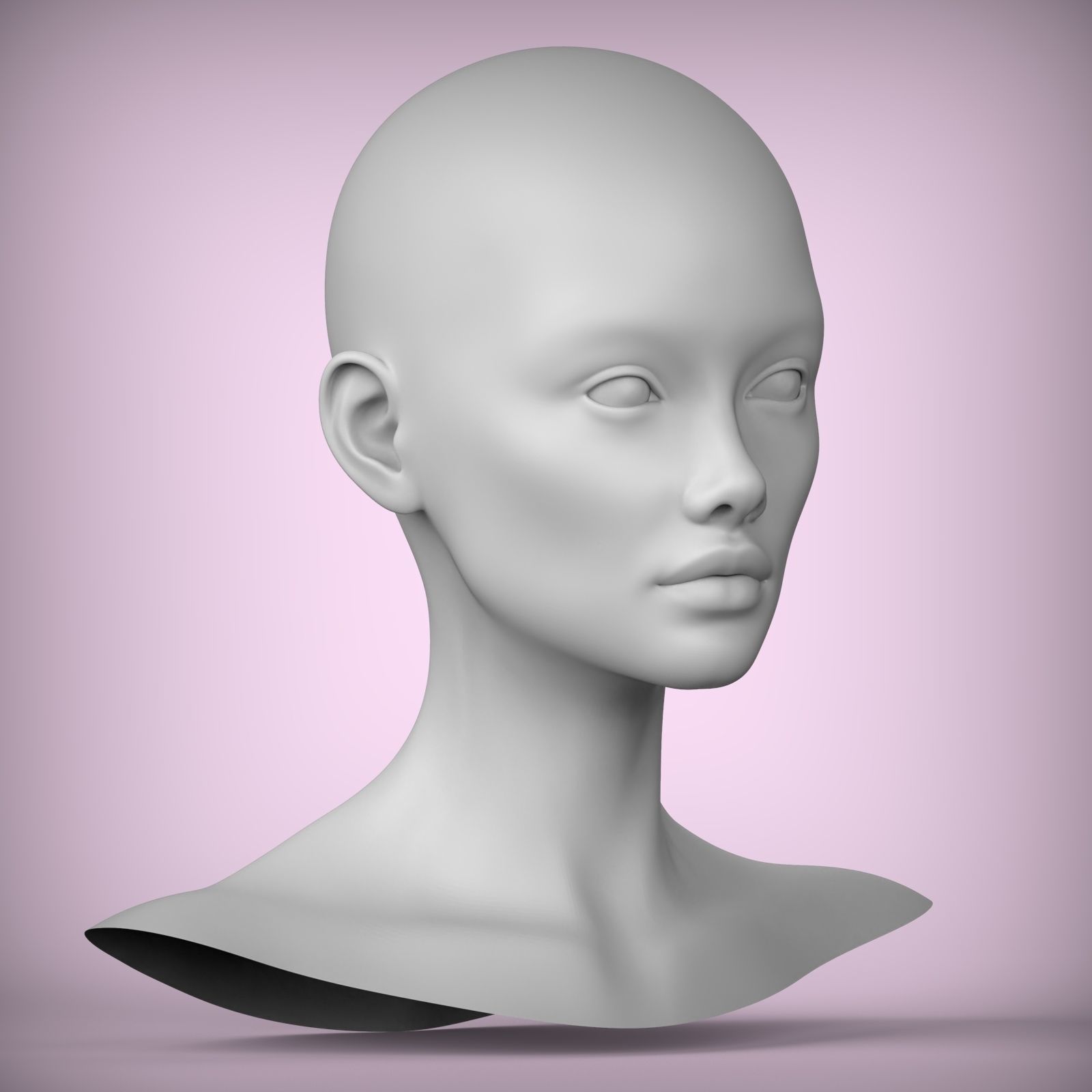 41 3D HEAD FACE FEMALE CHARACTER TEENAGER PORTRAIT 3D model_2