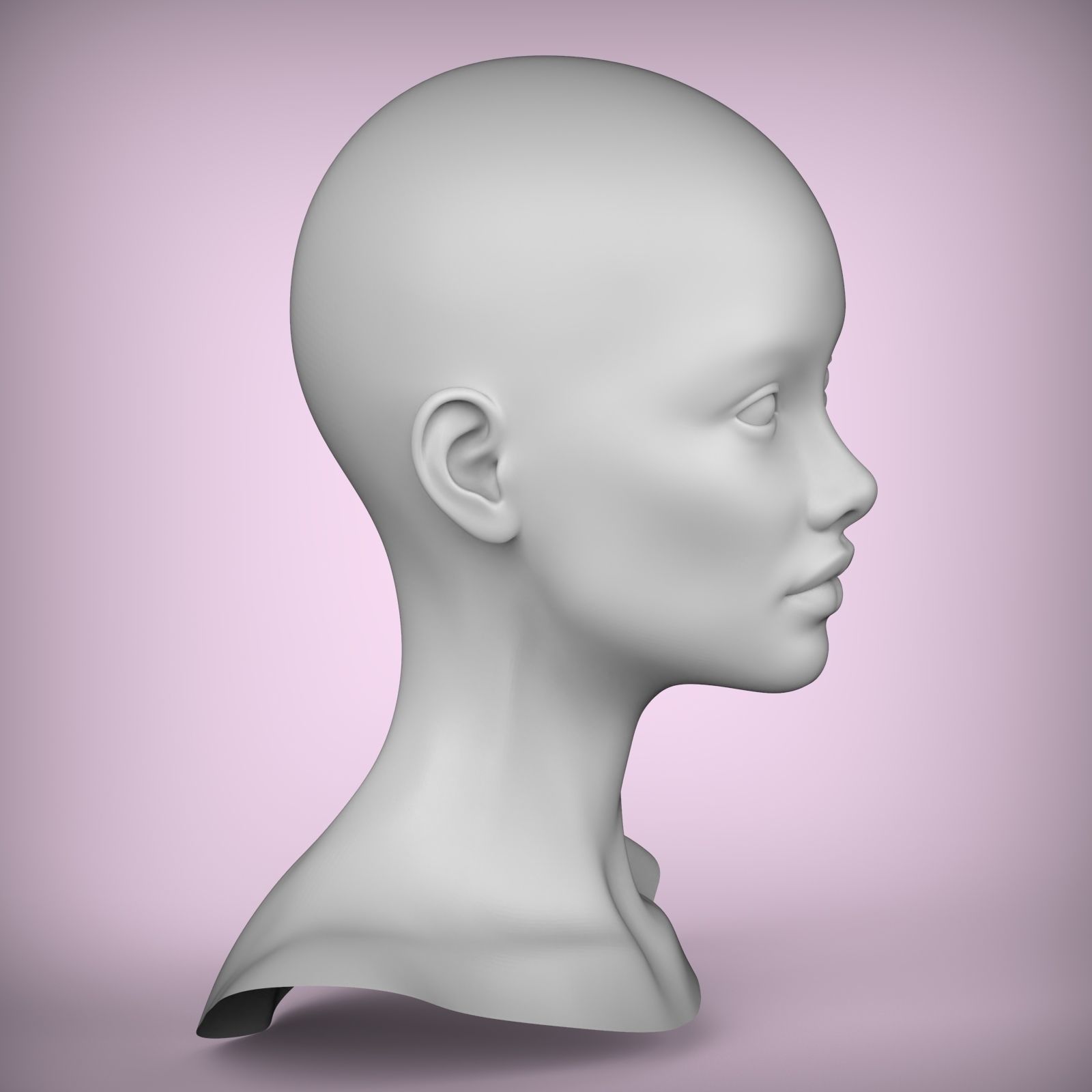 41 3D HEAD FACE FEMALE CHARACTER TEENAGER PORTRAIT 3D model_3