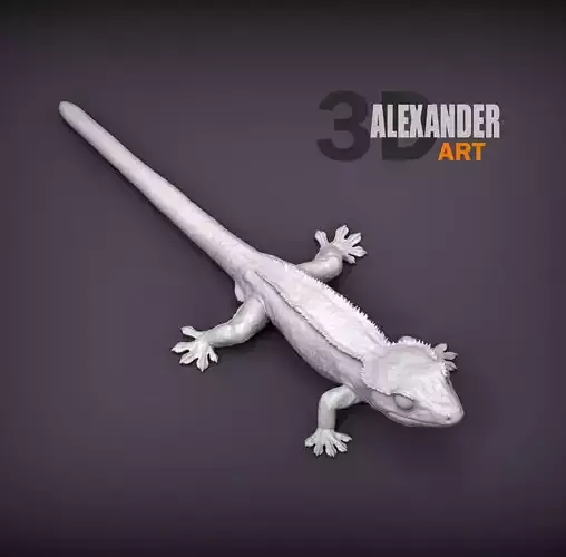 Eyelash banana gecko 3D print model