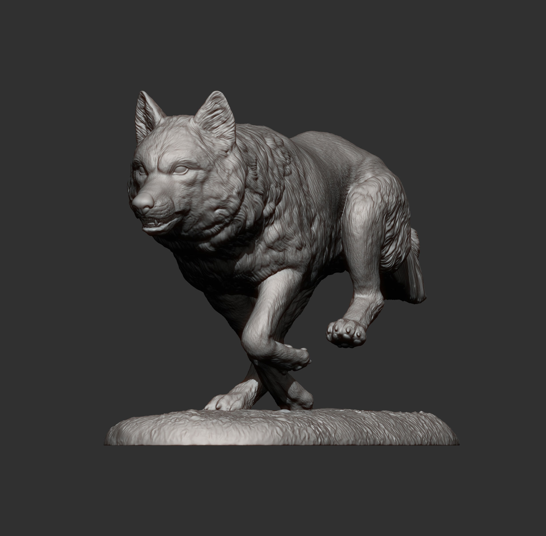 Running wolf 3D print model_7