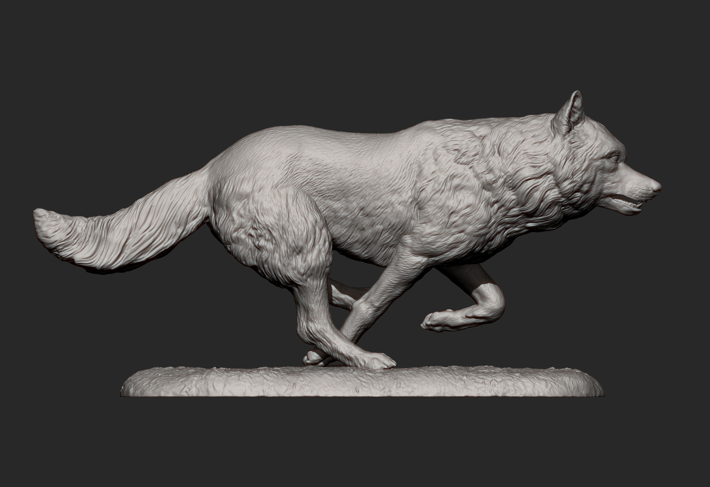 Running wolf 3D print model_9