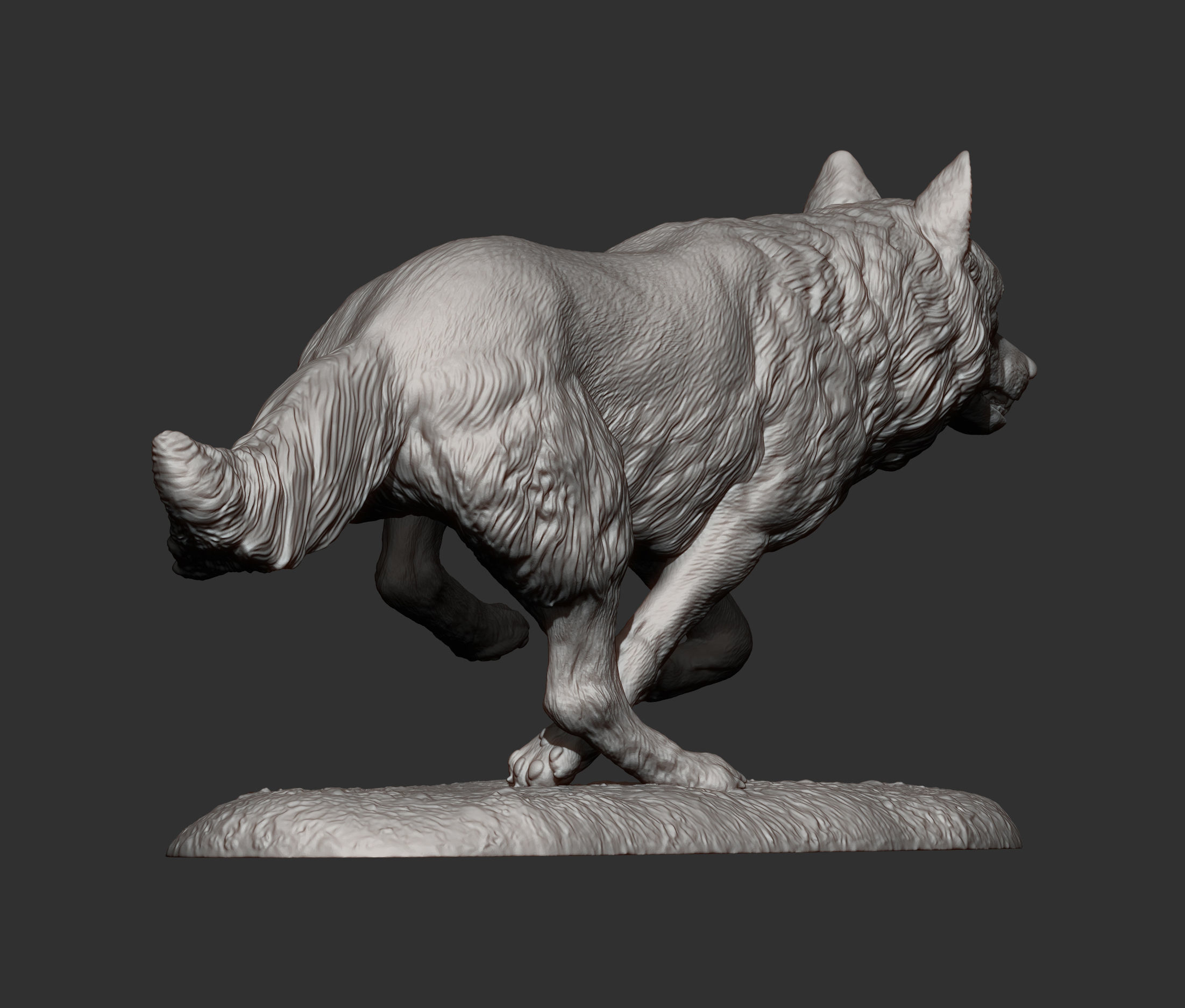 Running wolf 3D print model_11