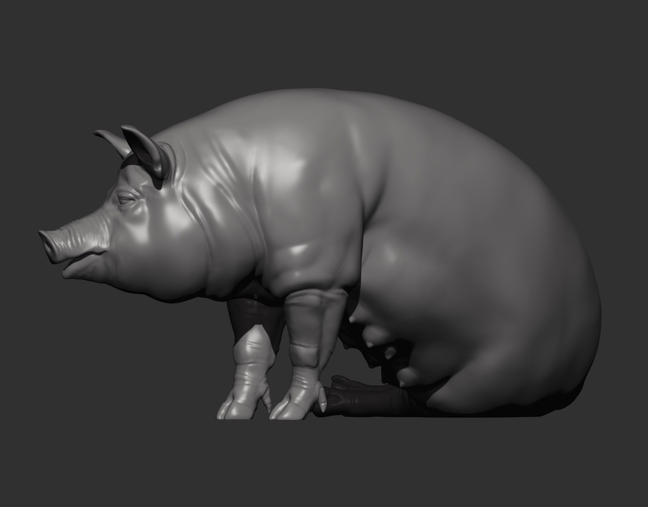 Pig sitting 3D print model_11