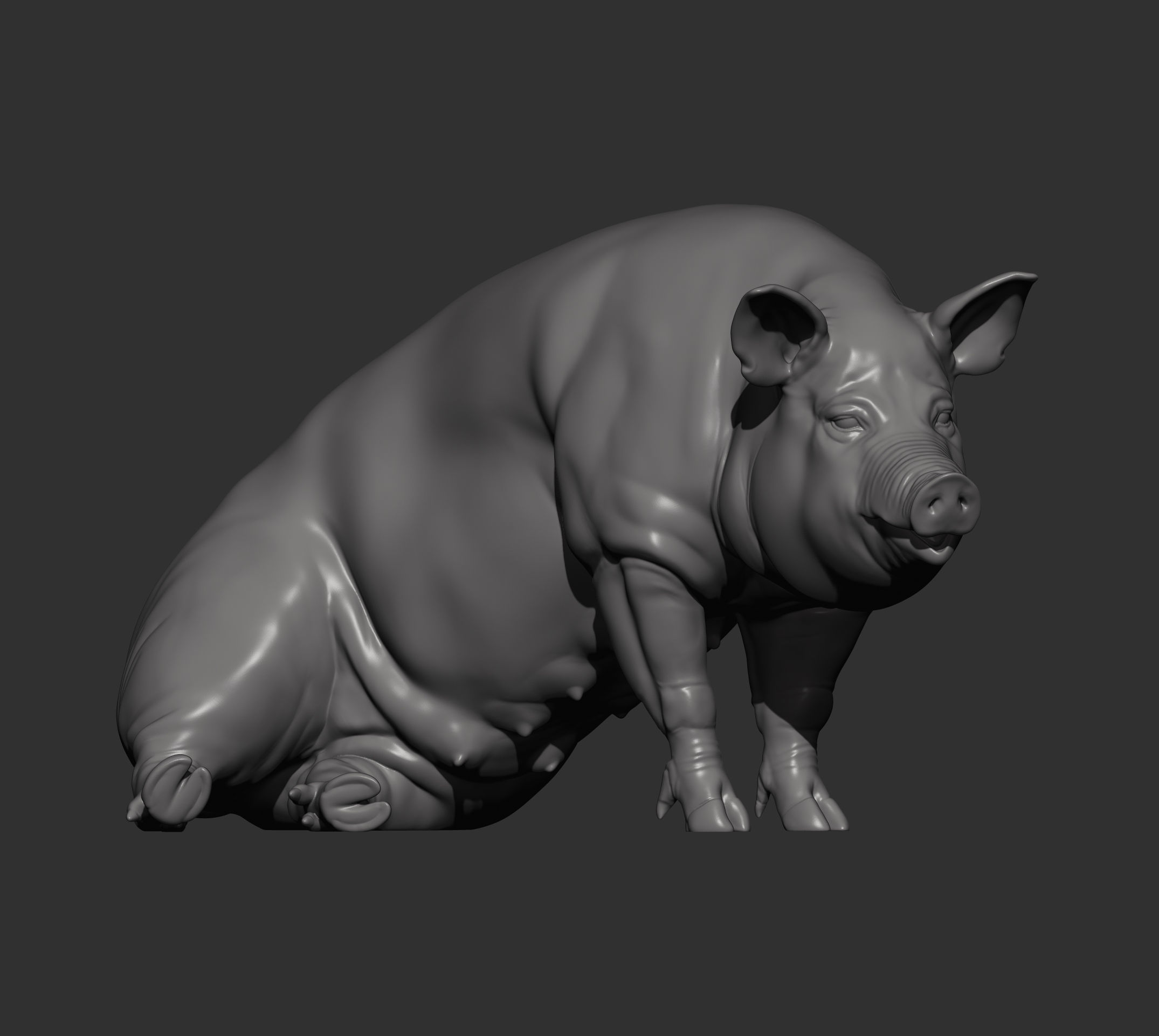 Pig sitting 3D print model_13