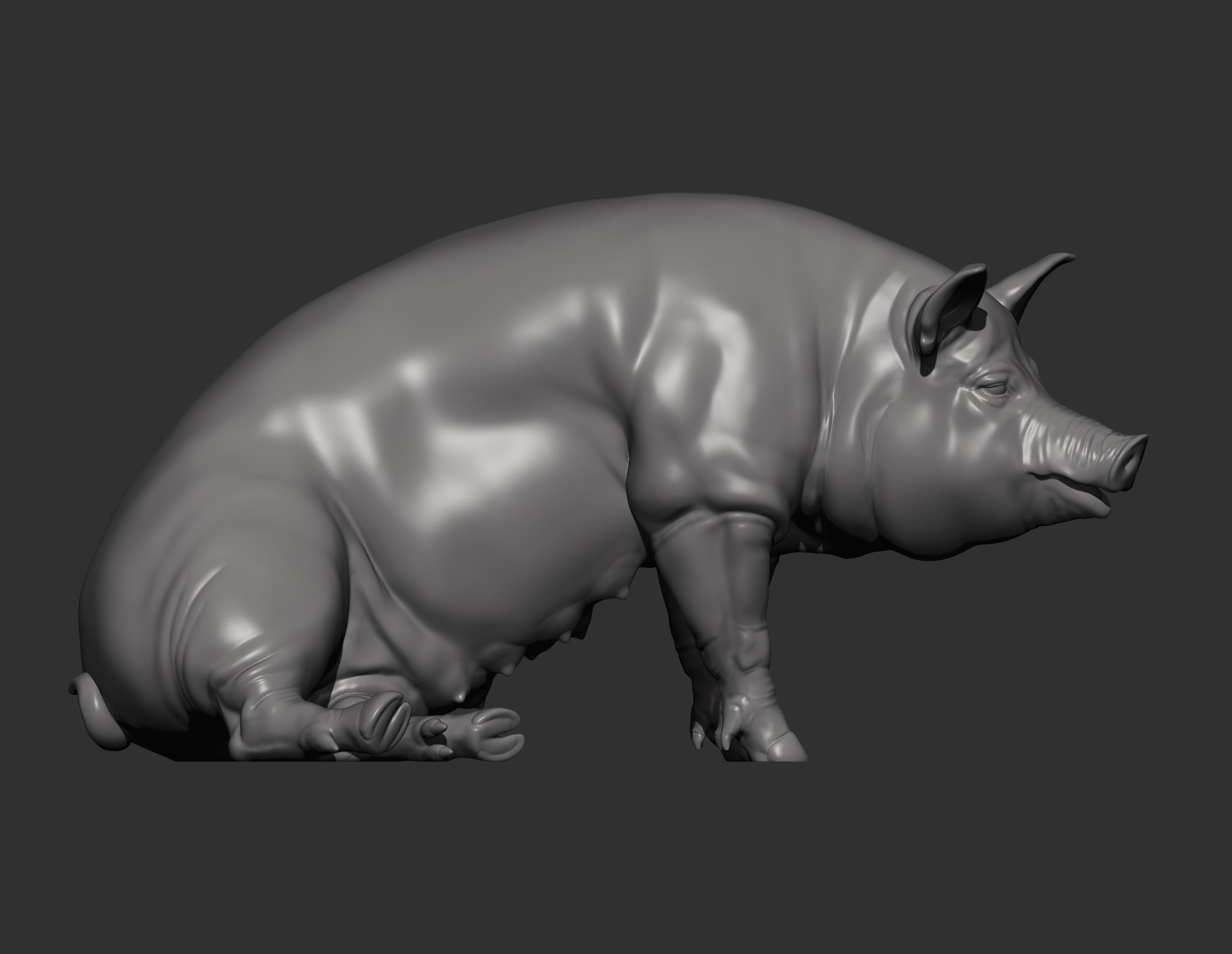 Pig sitting 3D print model_12