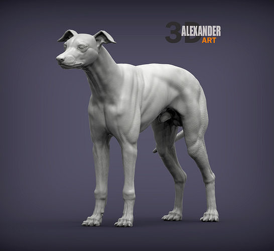 Whippet 3D print model