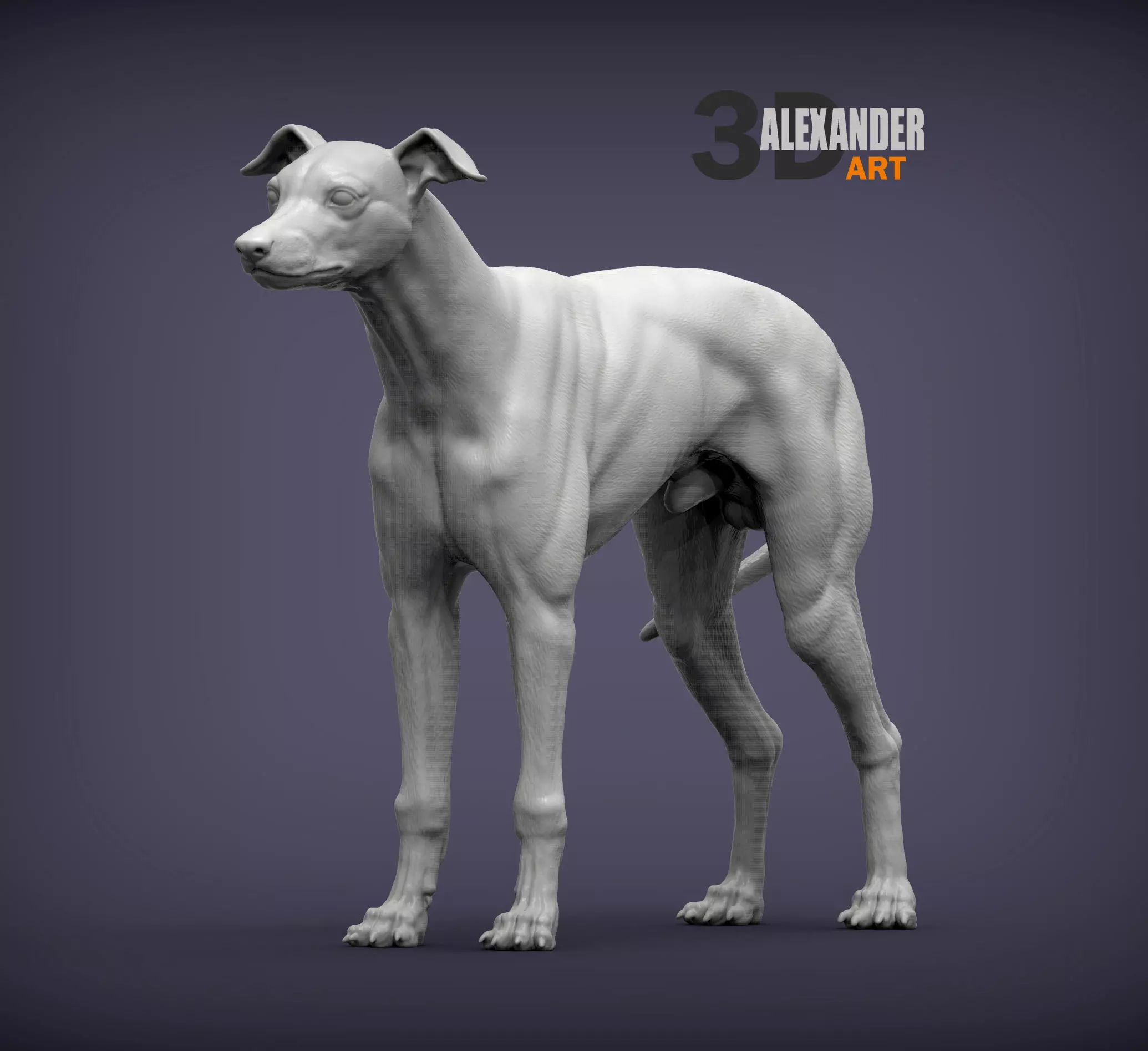 Whippet 3D print model_0