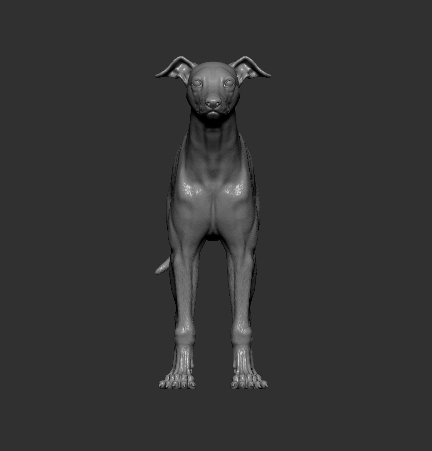 Whippet 3D print model_13