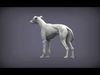 Whippet 3D print model_1