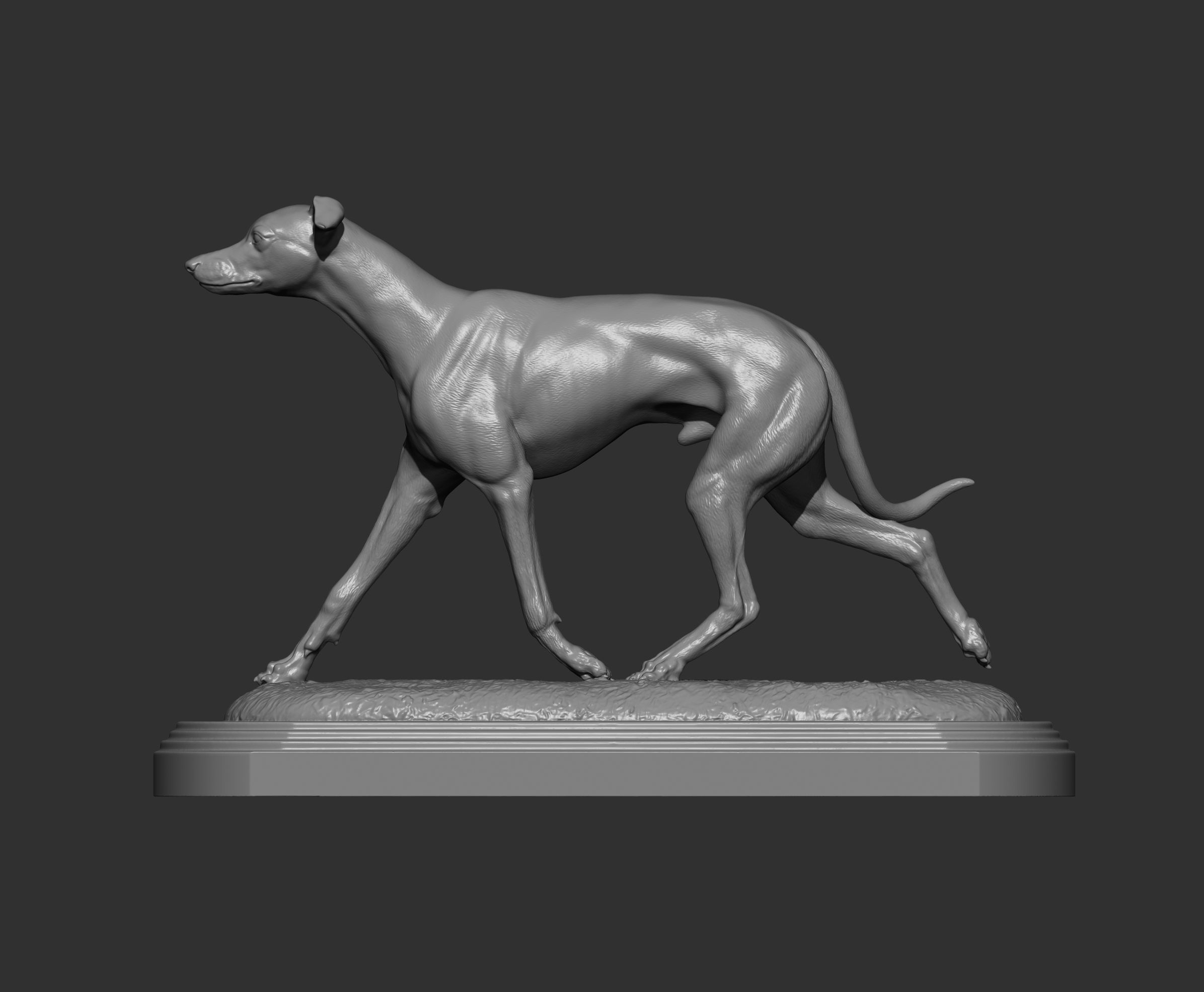 Whippet runs 3D print model_9