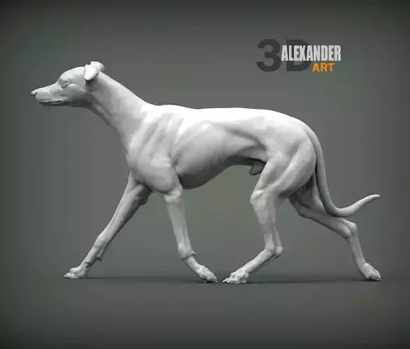 Whippet runs 3D print model