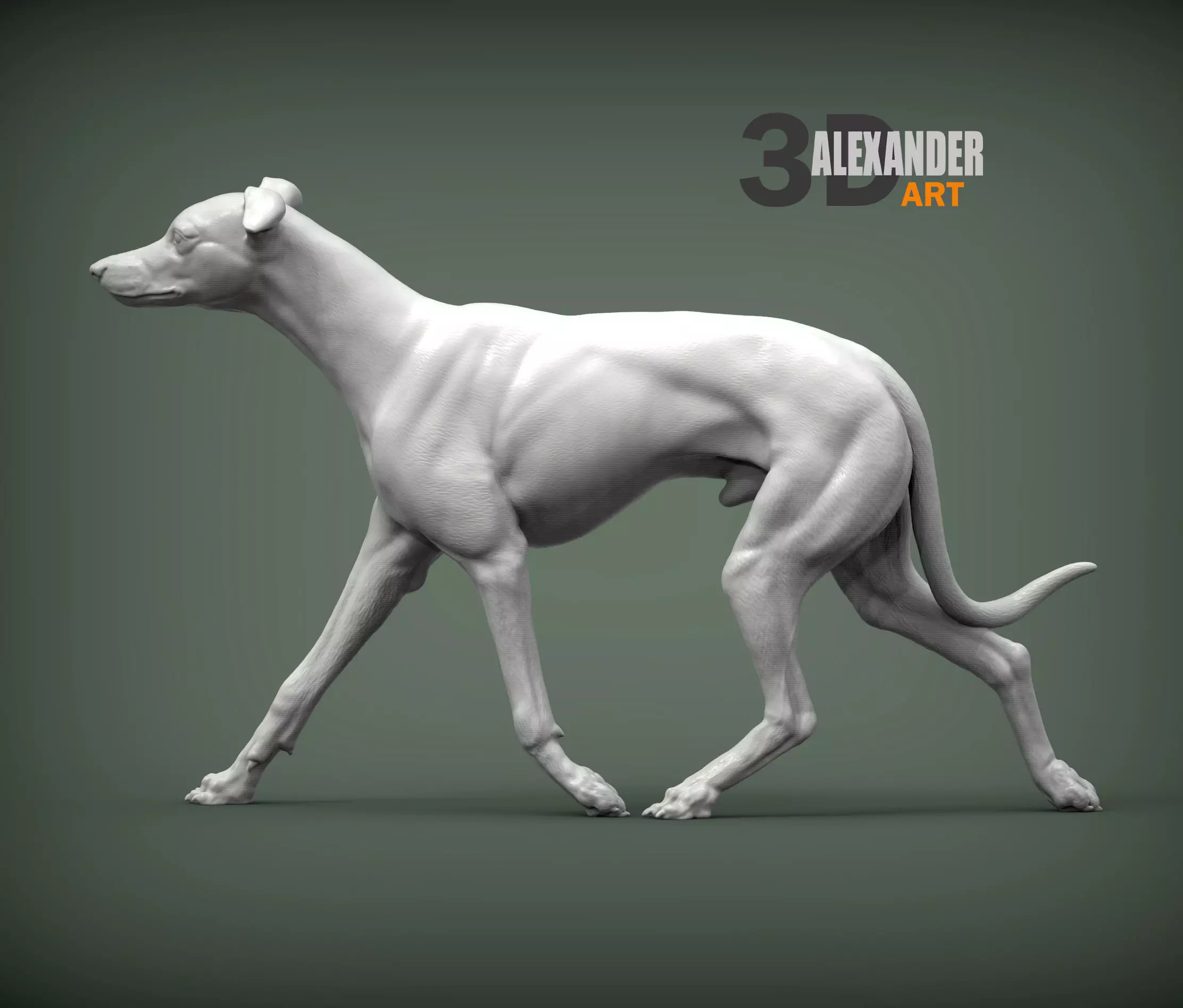 Whippet runs 3D print model_0