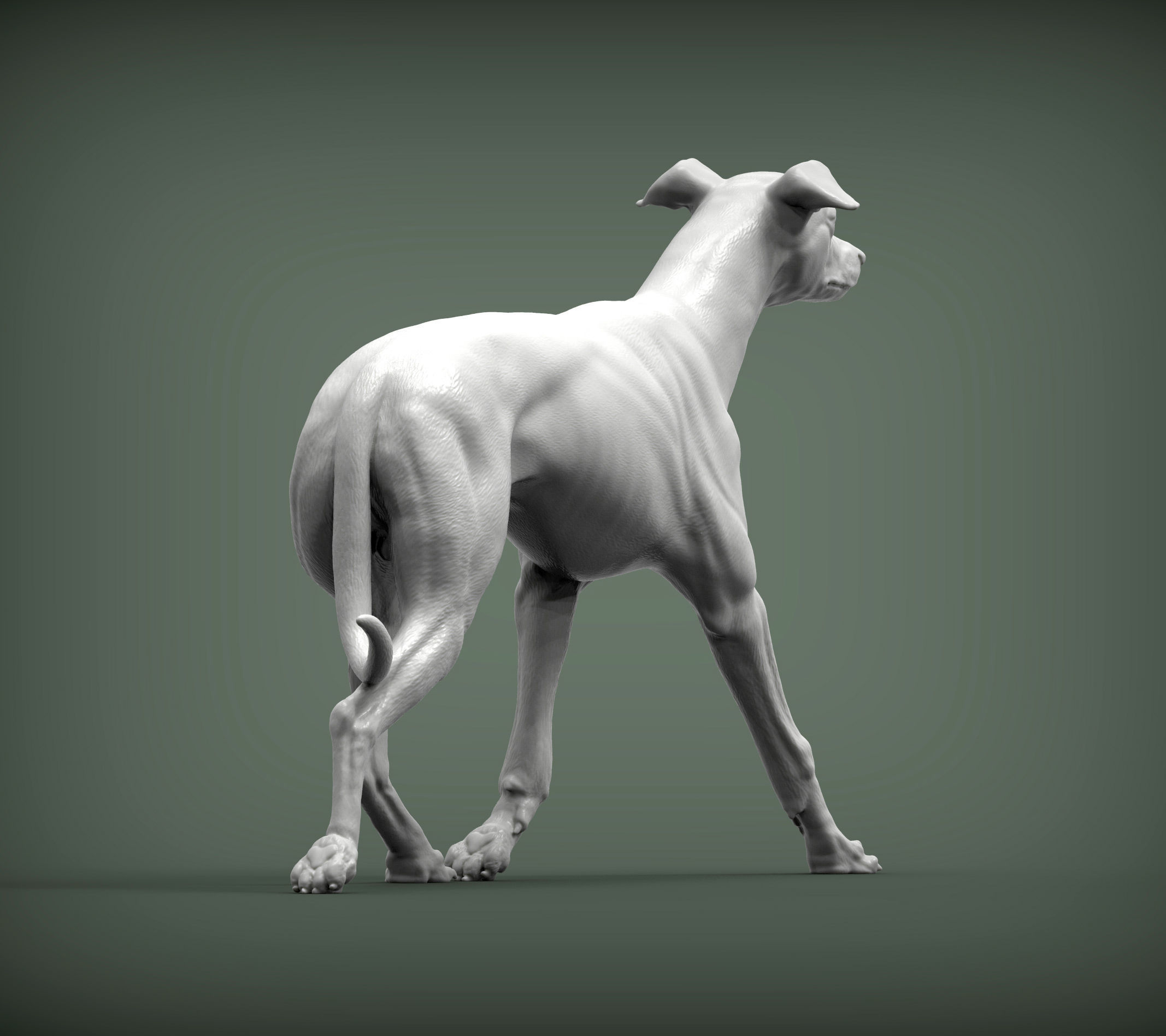 Whippet runs 3D print model_4