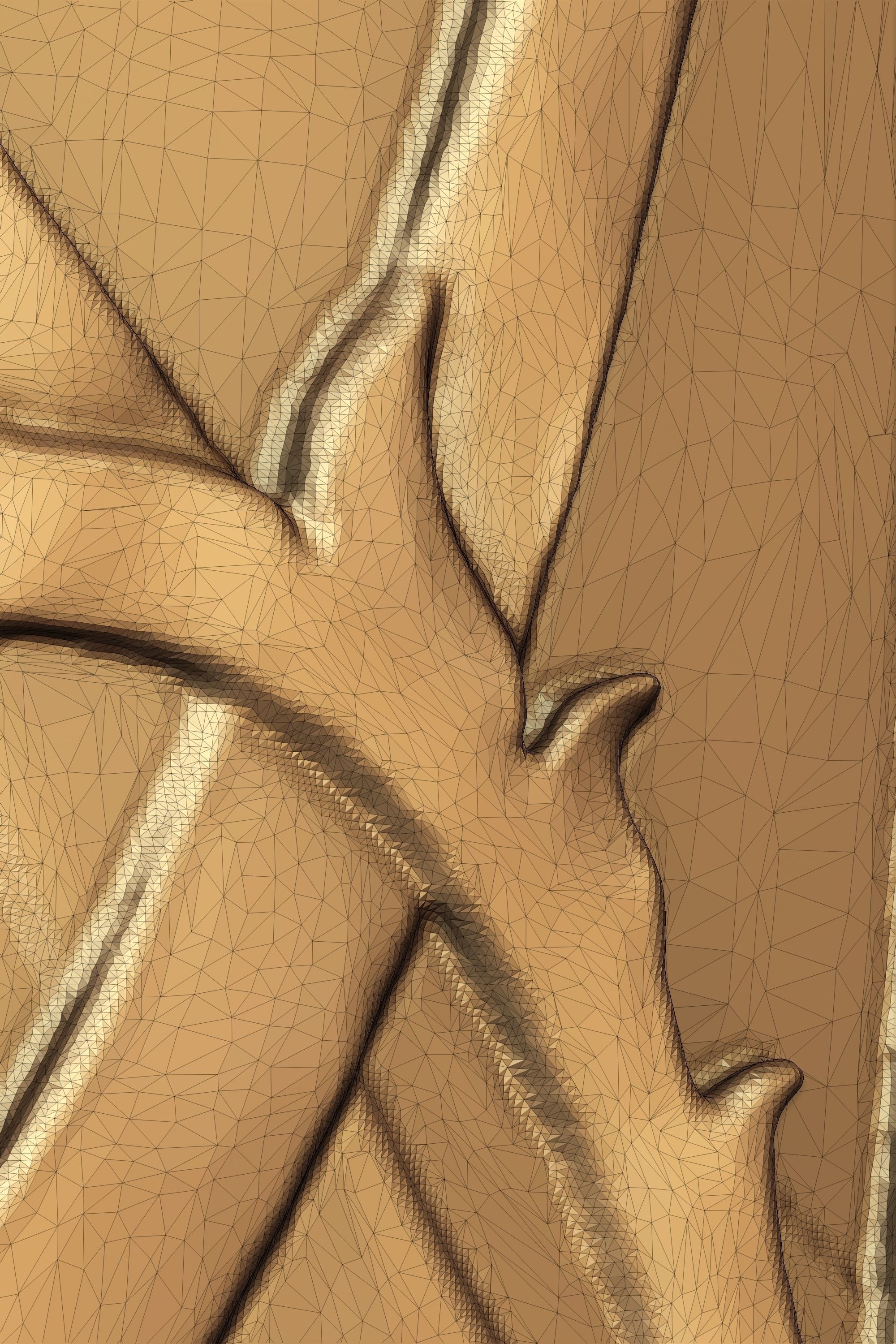 Elven Shield 3D print model_10