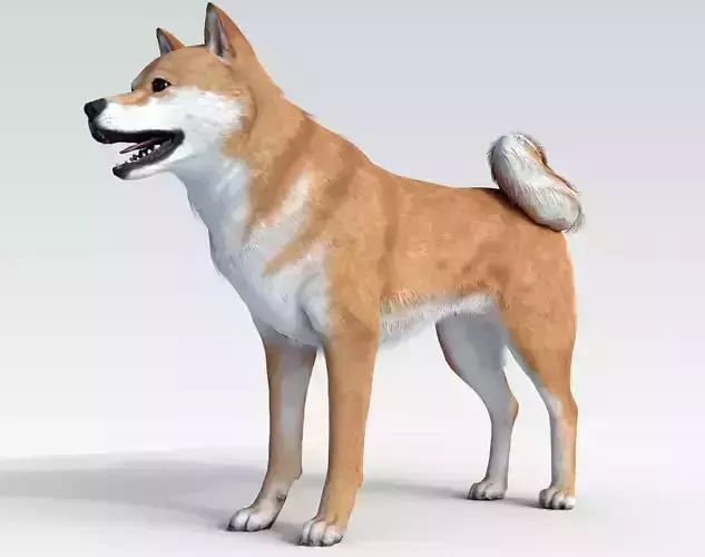 Dog Shiba Ini with Fur - Rigged