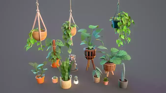 Stylized plants and pots