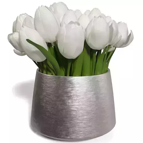 White Sulip In Silver Vase PBR