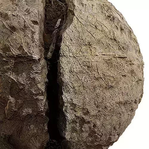 Rock Seamless Texture 2K - EXR 5 - JPG 5 Texture