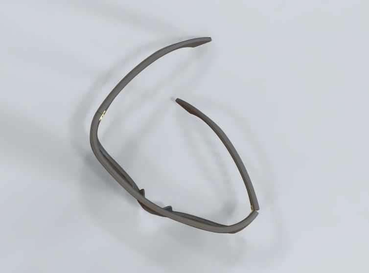 Sunglass-02 3D print model_35