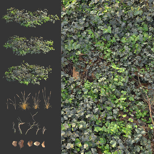 Meadow 16 3D model