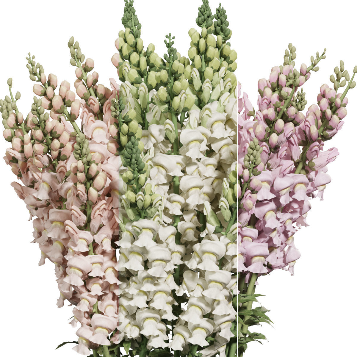 Flower In Vase 27 3D model_3