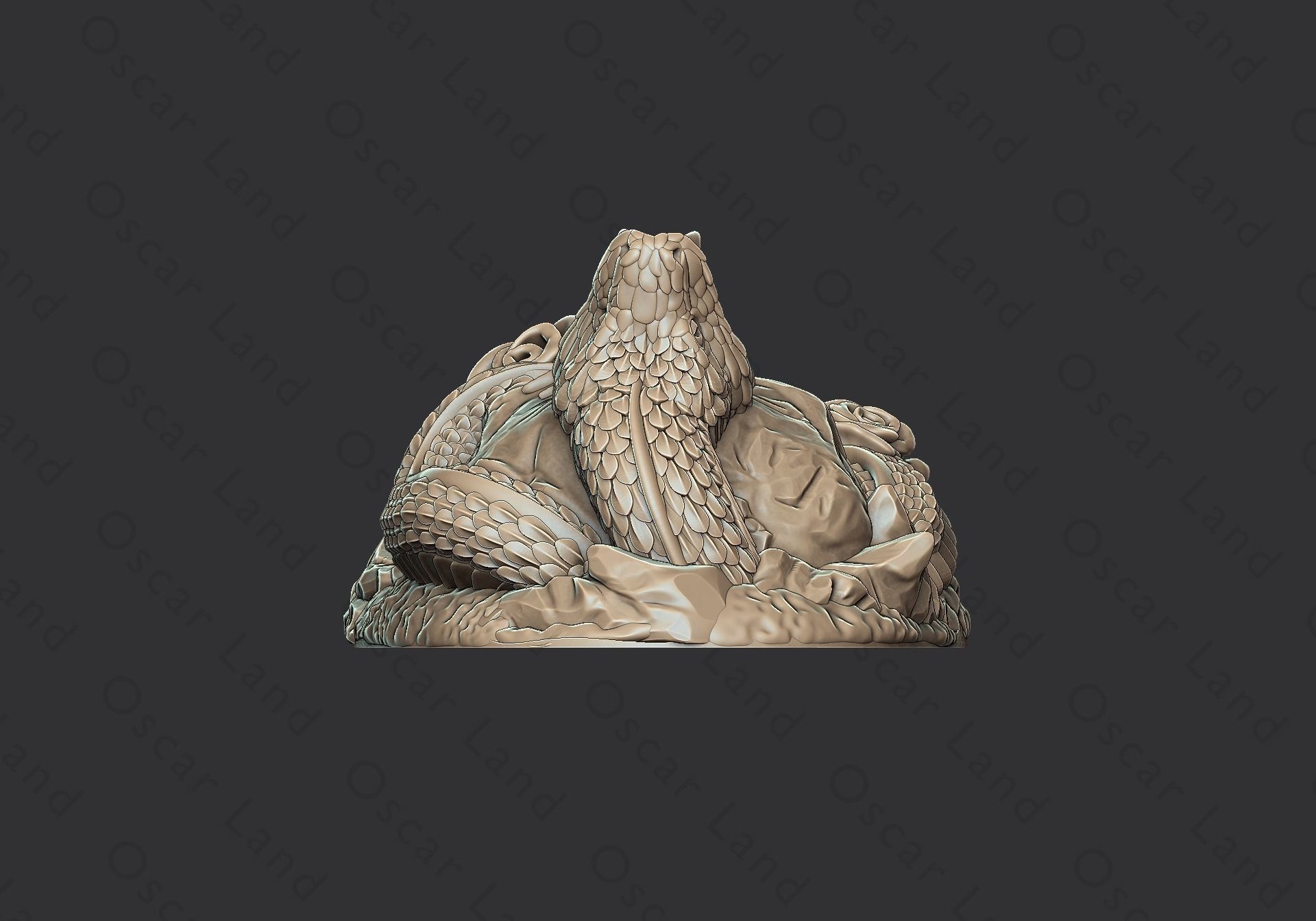 Snake medal1 or serpent mamba anaconda venum python poison devil 3D print model_7