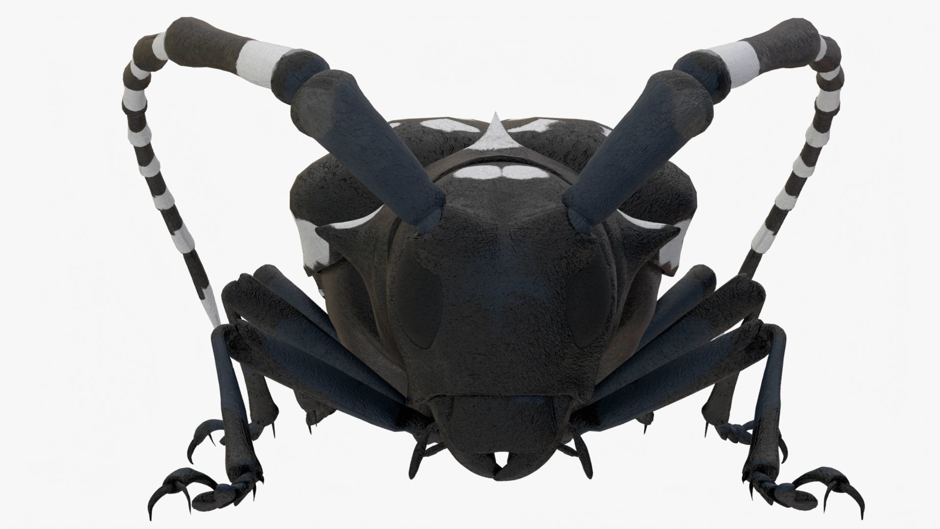 4K Longhorn Beetle Low-poly 3D model_1
