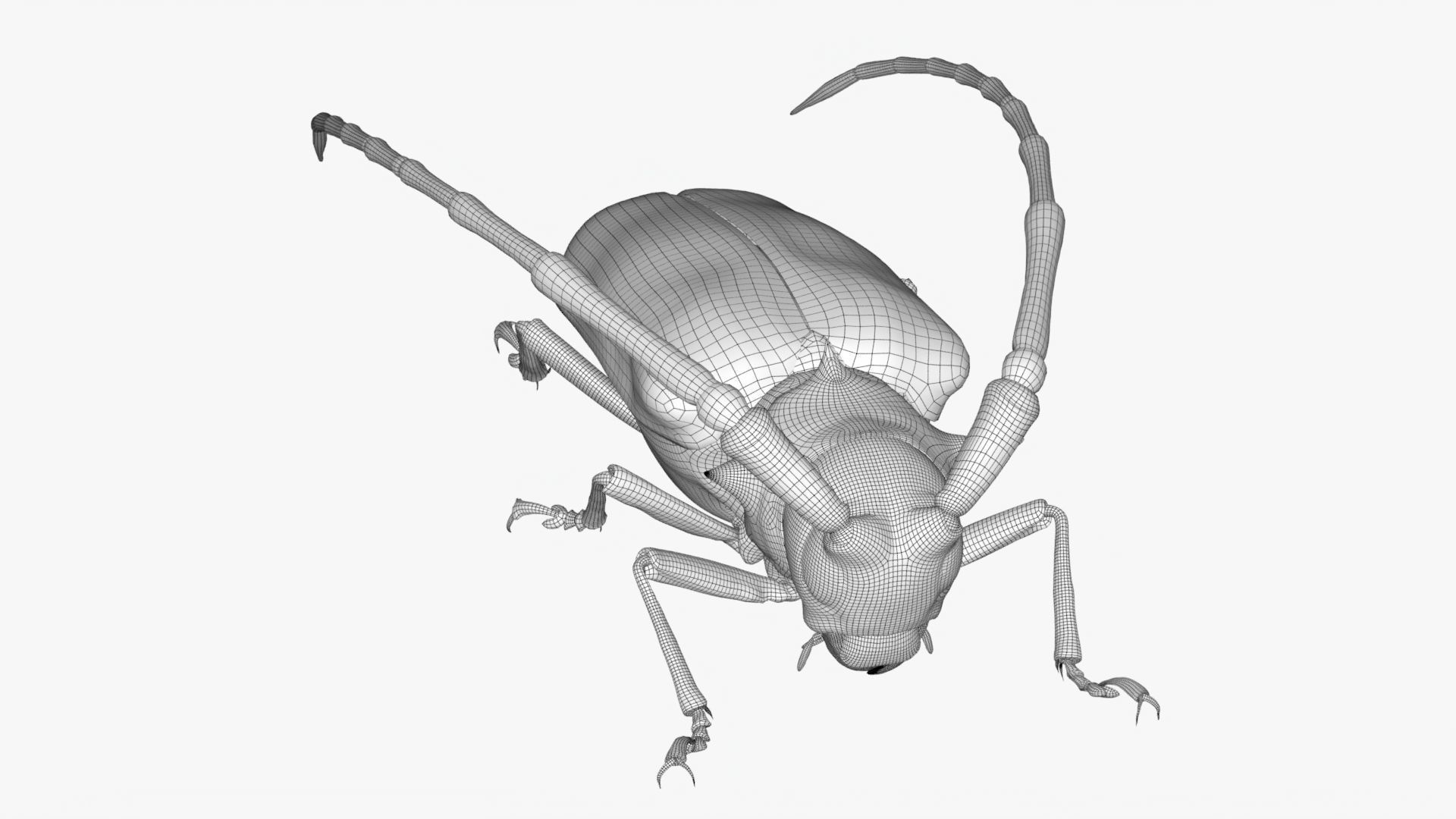 4K Longhorn Beetle Low-poly 3D model_11