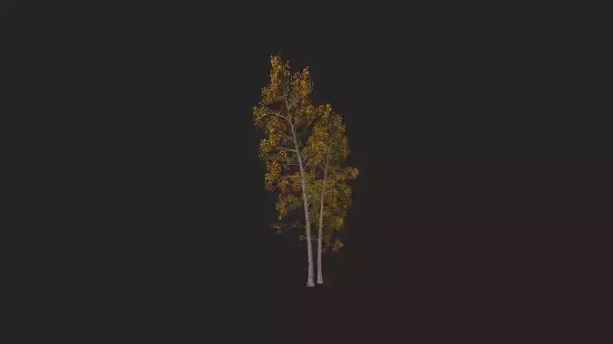 Tree 3D Model 002