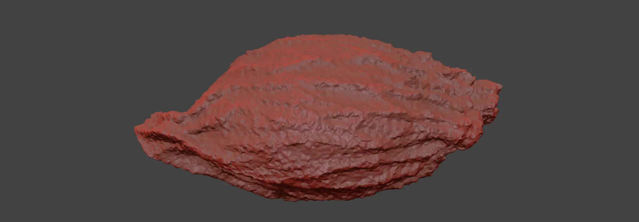 Citrus Seed 3D model_7