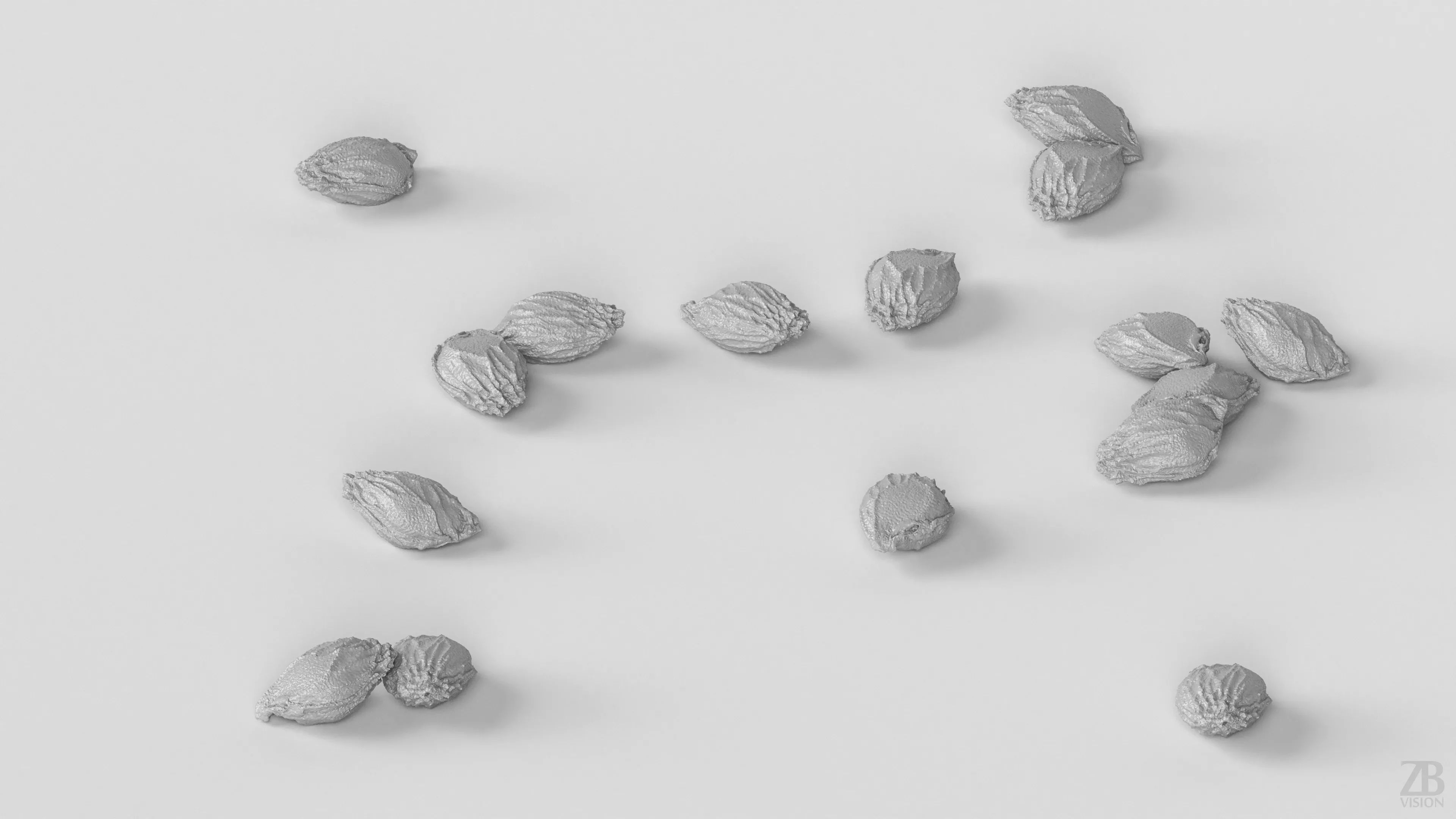 Citrus Seed 3D model_3