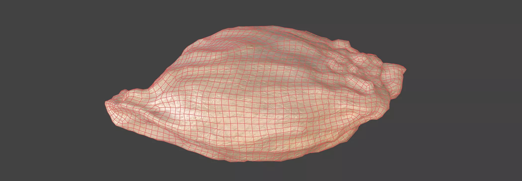 Citrus Seed 3D model_6