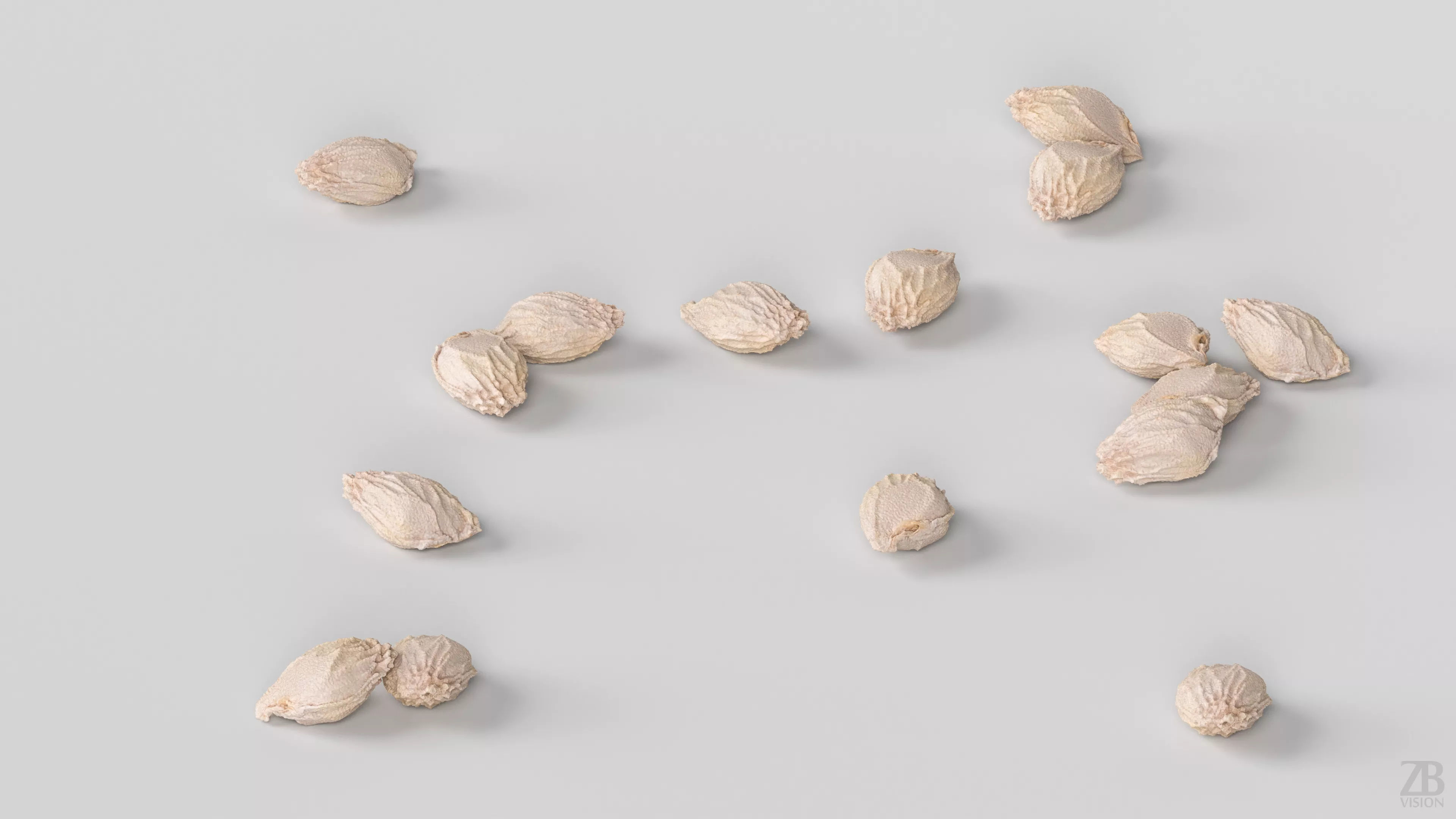 Citrus Seed 3D model_2