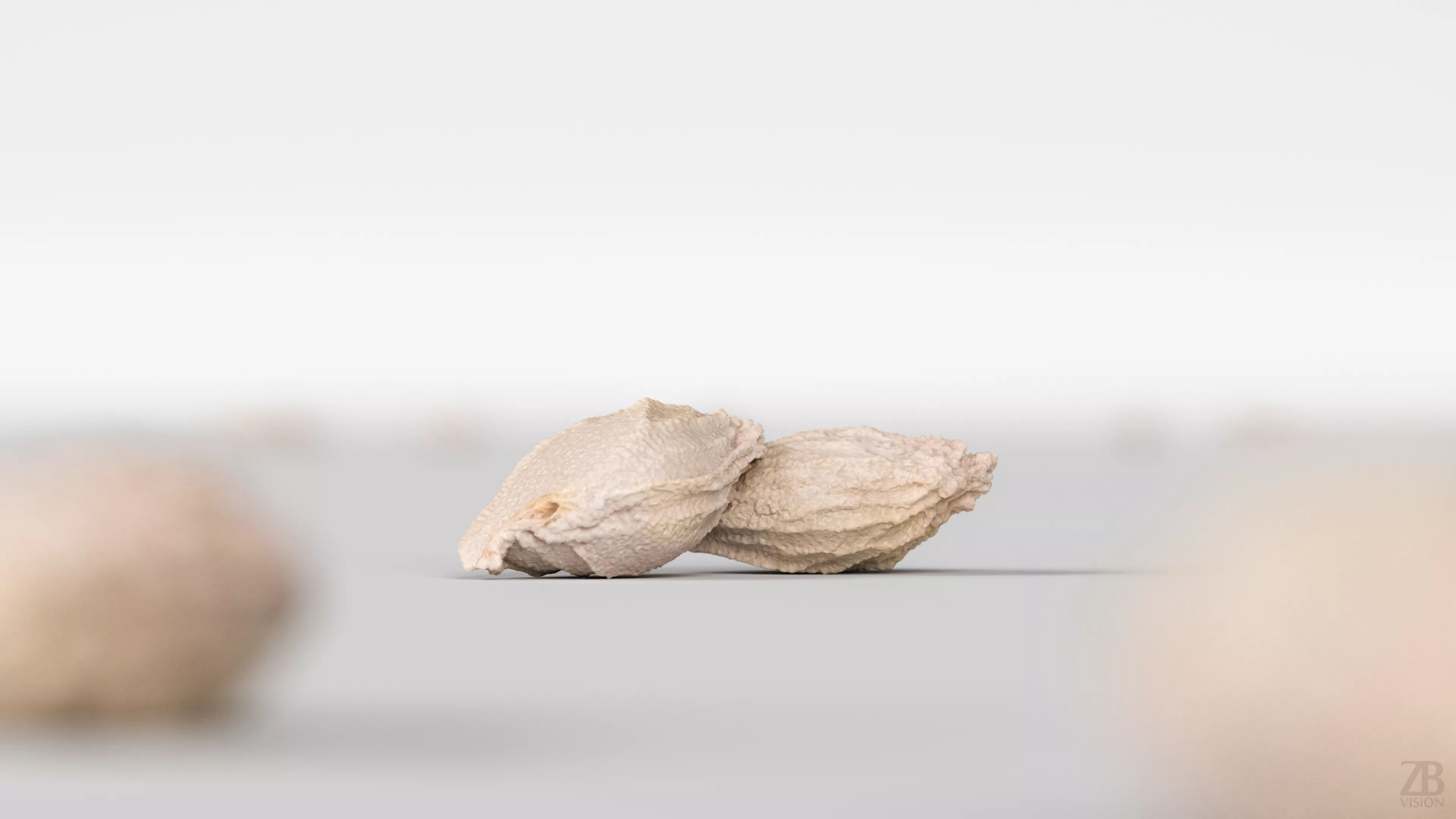 Citrus Seed 3D model_1