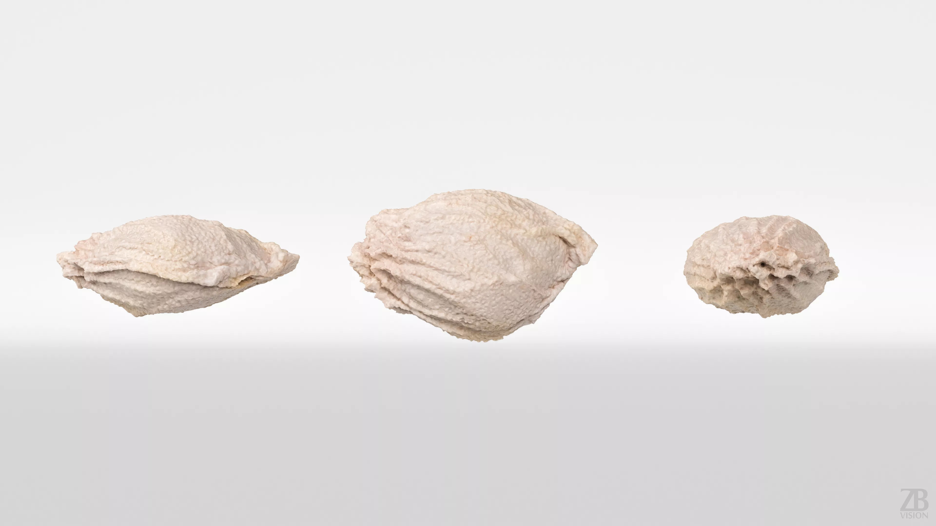 Citrus Seed 3D model_4