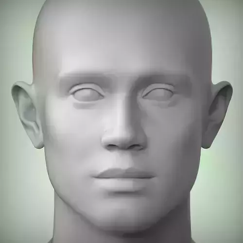 45 3D HEAD FACE FEMALE CHARACTER TEENAGER PORTRAIT DOLL 3D model 45 3D HEAD FACE FEMALE CHARACTER TEENAGER PORTRAIT DOLL 3D model