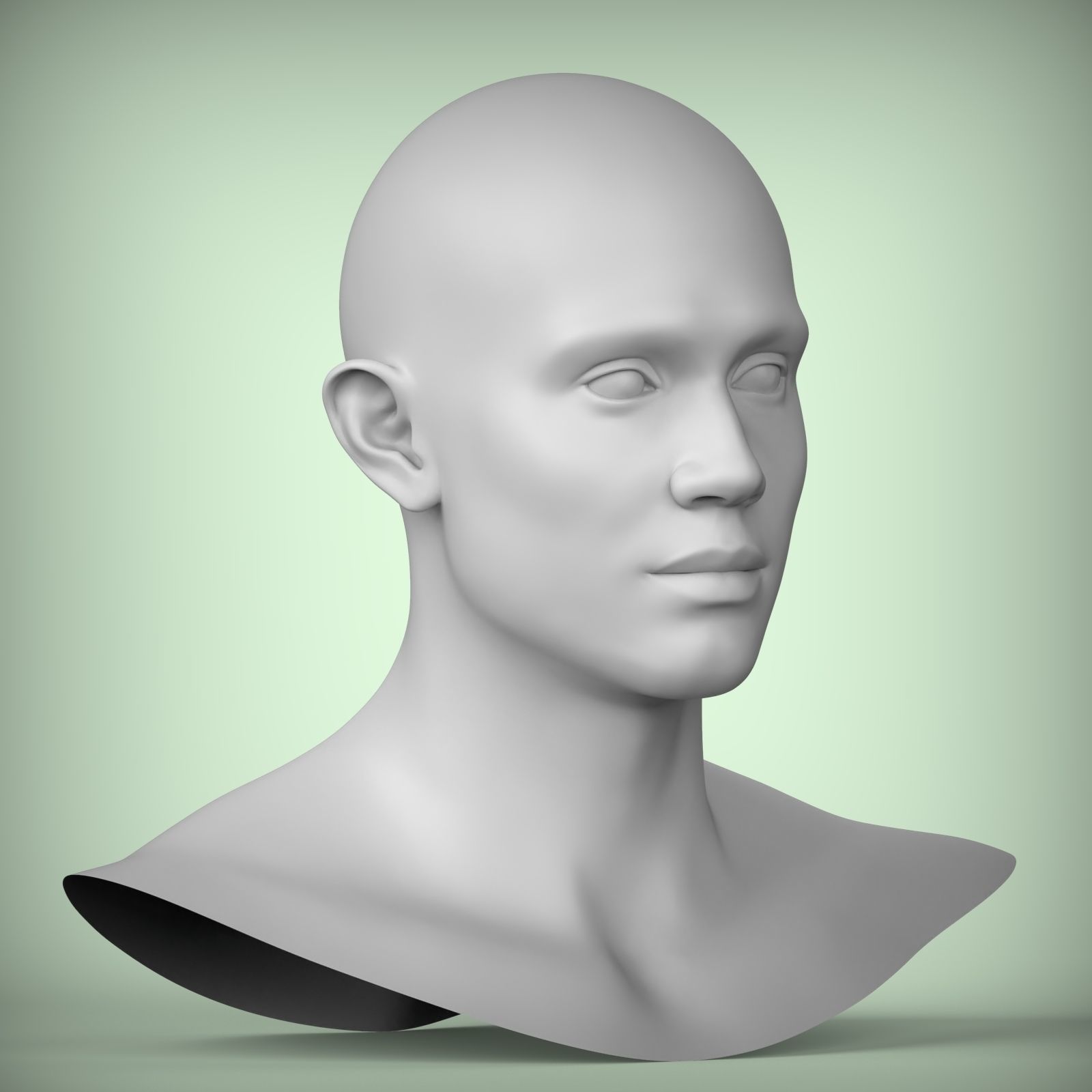 45 3D HEAD FACE FEMALE CHARACTER TEENAGER PORTRAIT DOLL 3D model_5